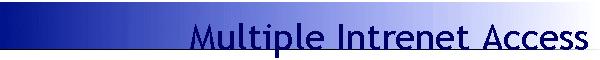 Multiple Intrenet Access
